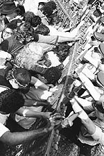 Demonstrators attempting to break through the front gates of Queensland's Parliament House.