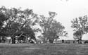 Sheaffe papers. Photograph of Survey Camp. View of camp in general with tents and buggies. Mr Sheaffe is on the right of the photo with two women